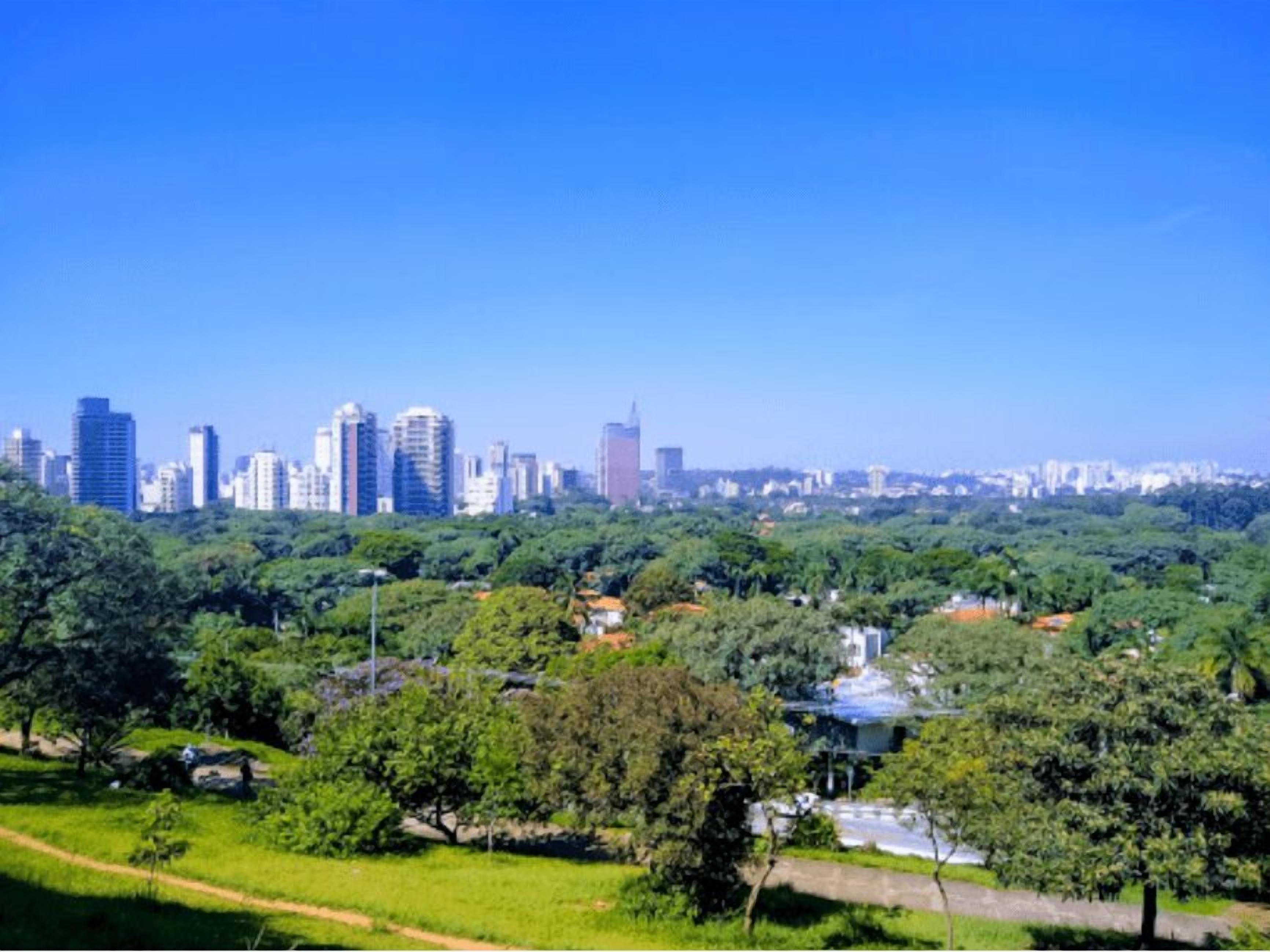 Paisagem urbana com um parque em primeiro plano e arranha-céus ao fundo.