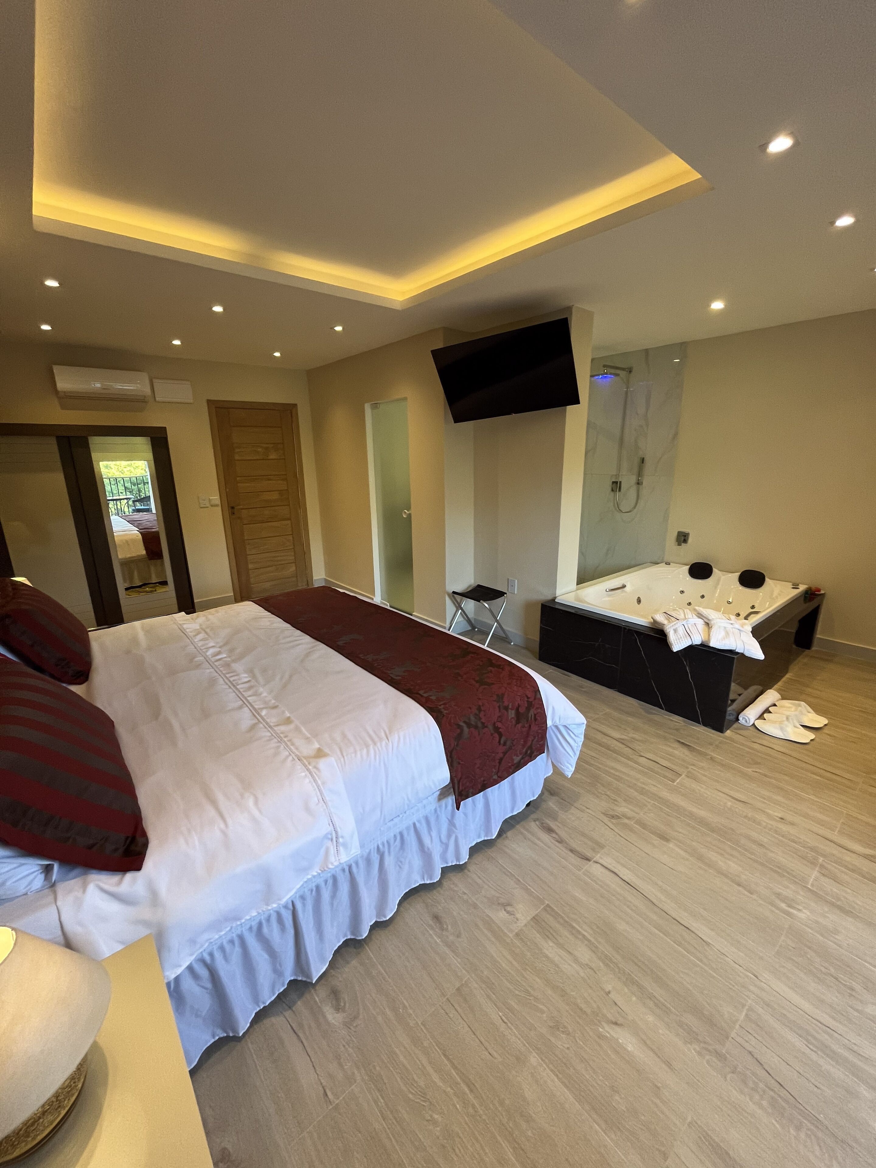 Deluxe Suite | Minibar, in-room safe, blackout curtains, free WiFi