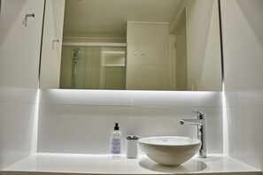 Ducha, cabezal de ducha tipo lluvia, secador de pelo, bidet