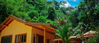 Sustainable Mountain Accommodation - Go Organic