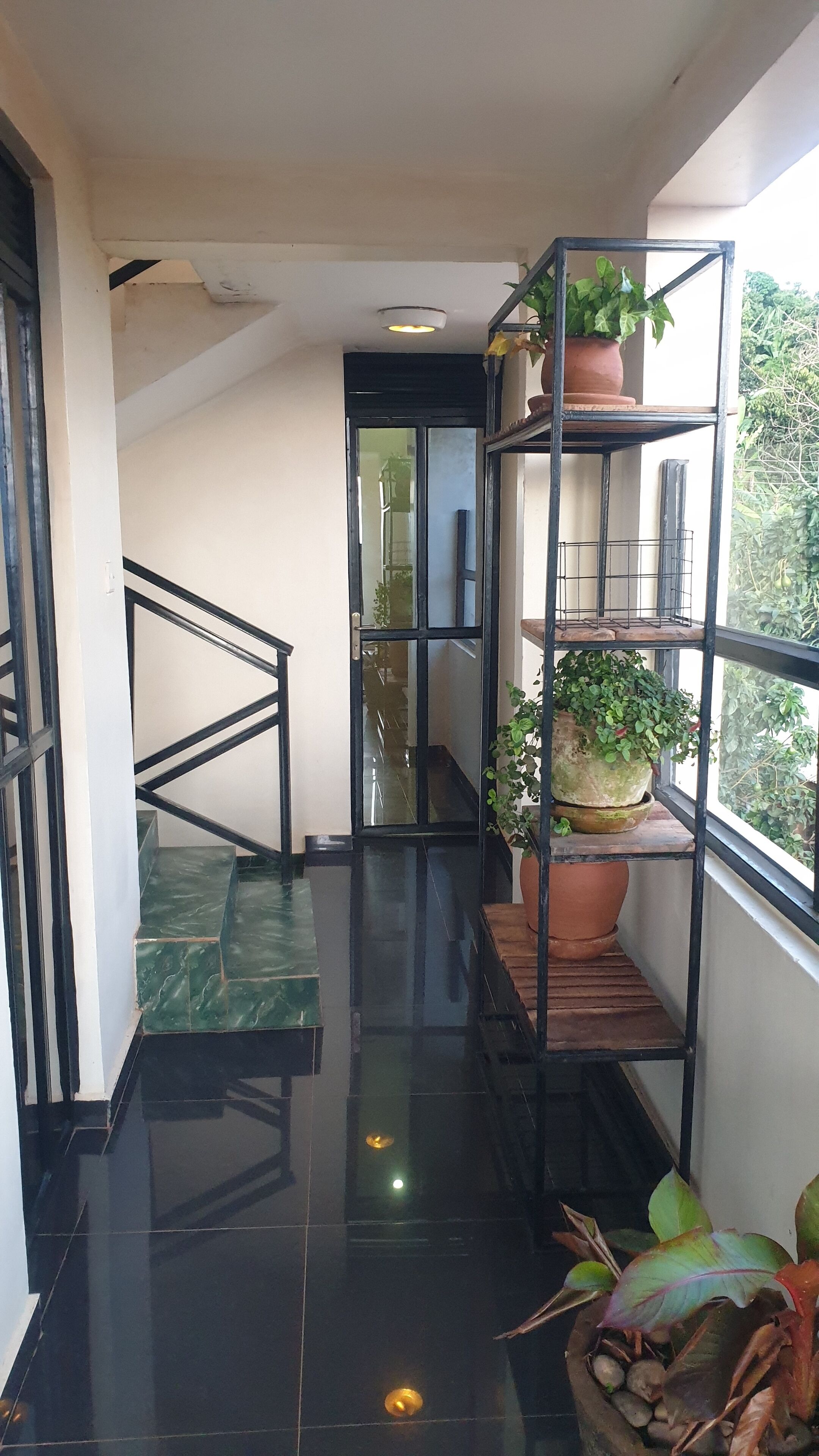 A modern interior with a staircase, black metal railings, and potted plants.