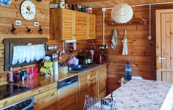 Fridge, oven, stovetop, dishwasher