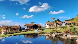 A residential area with houses, a swimming pool, and a clear blue sky.