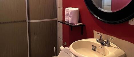 A bathroom with a toilet, sink, and shower.