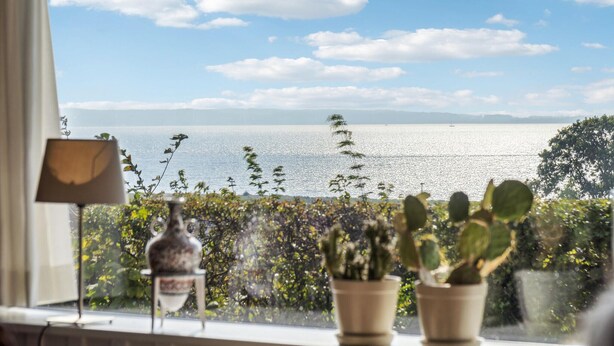Vista desde una ventana con vistas a un cuerpo de agua bajo un cielo despejado. Hay plantas en macetas en primer plano.