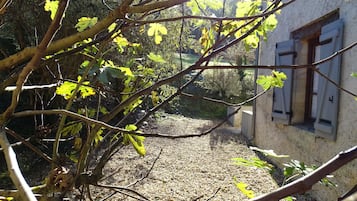 Traditional House | Terrace/patio