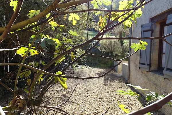 Casa tradicional | Terrassa o pati