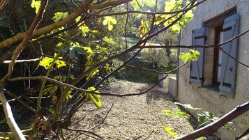 Casa tradicional | Terraço/pátio