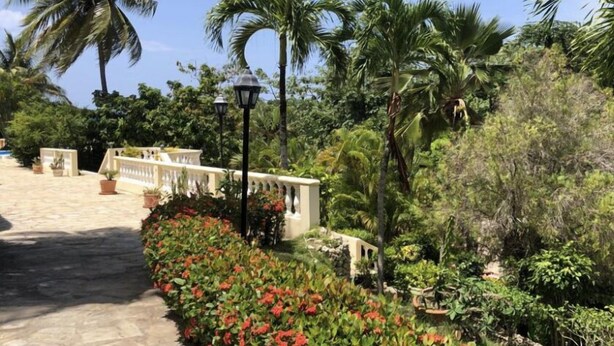 A paved pathway lined with red flowers and palm trees, leading to a white building with a balcony.