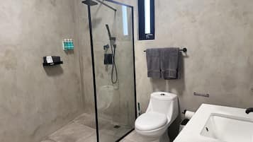 A modern bathroom with a glass-enclosed shower, a toilet, and a sink.