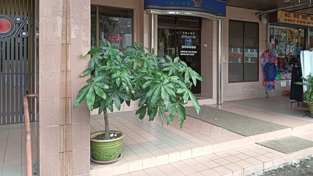 A hotel entrance with a large potted plant in the foreground, a signboard with hotel name, and a visible entrance door. - Hotel O Wawasan Inn (Sarikei)