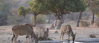 Maralal Safari Lodge