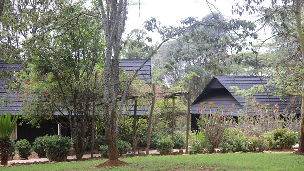 A building with a sloped roof surrounded by a garden with various trees and shrubs. - Maralal Safari Lodge (Maralal)
