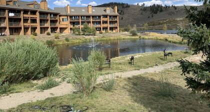 GREAT Value! Classy Comfortable King Bed Studio, Sleeps 4!