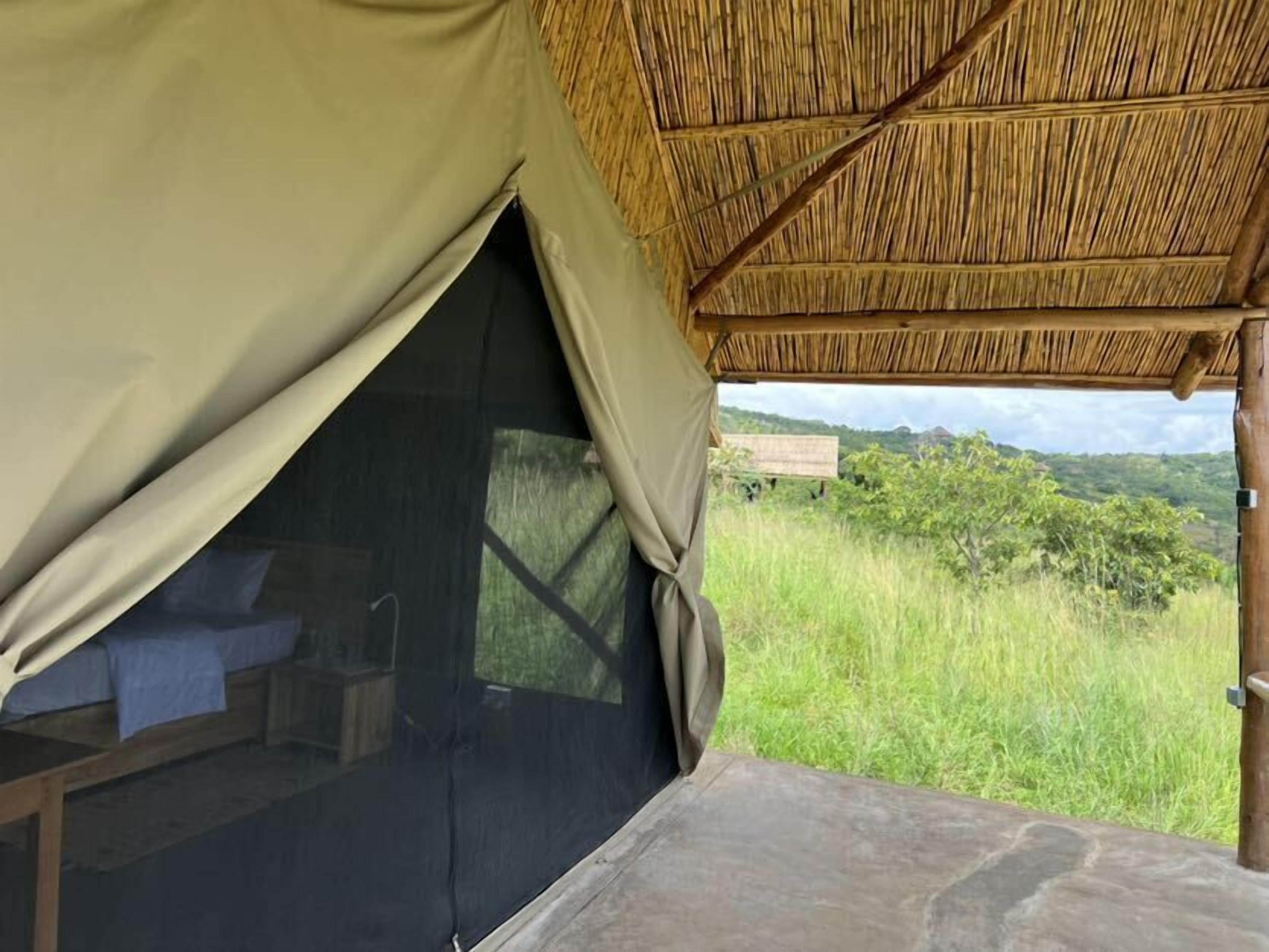 Ein Zelt mit einem Reetdach, ein Schlafbereich mit einem Bett und Blick auf eine grüne Landschaft mit Bäumen.