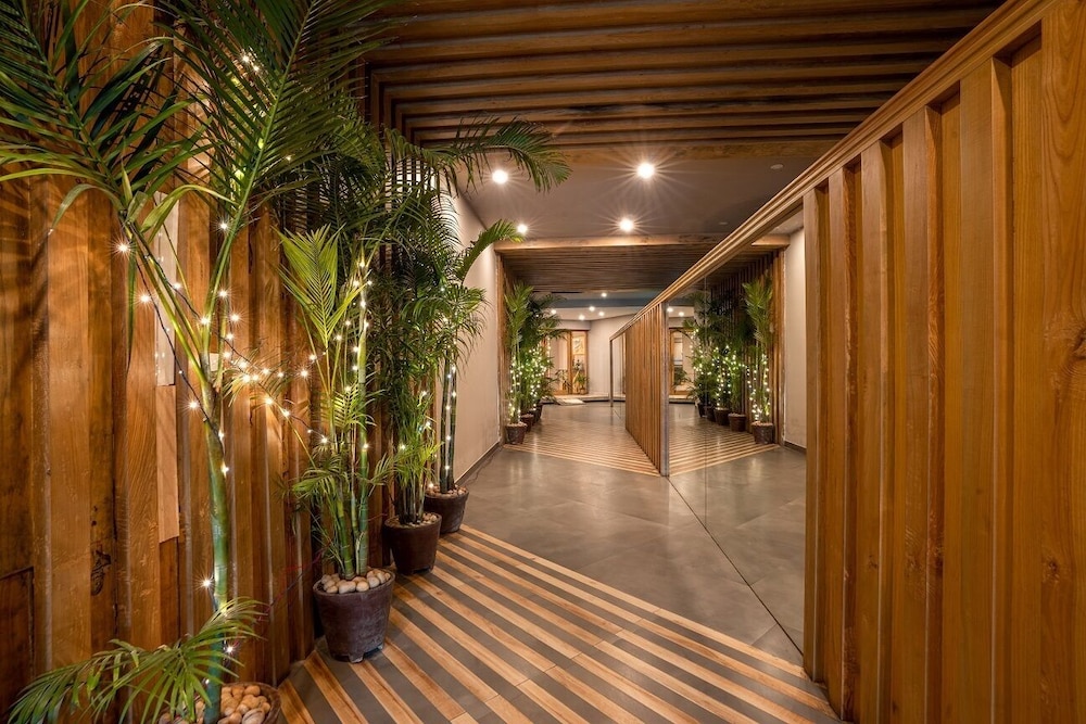 3 Star Hotels