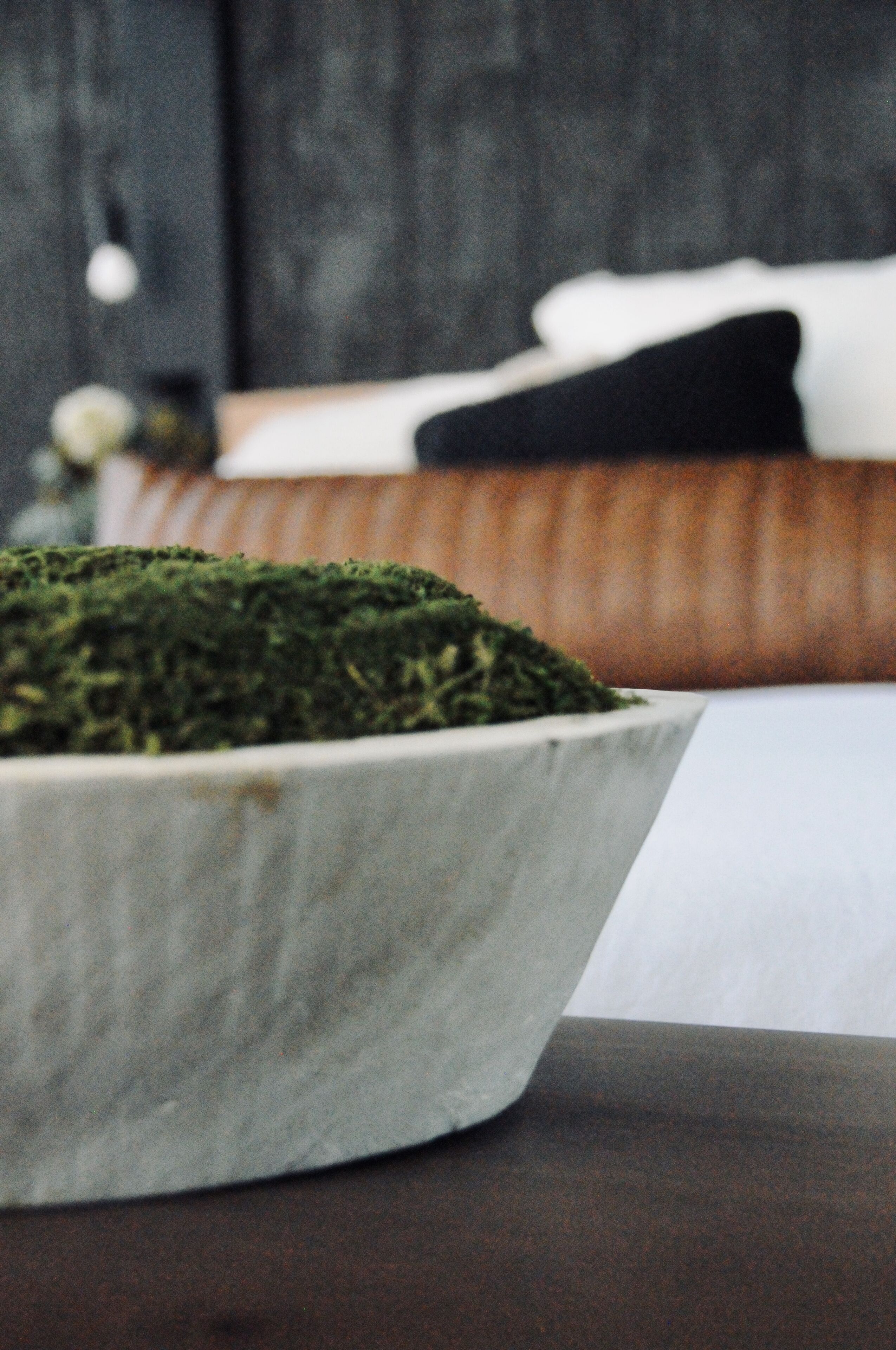 A white ceramic bowl filled with green moss on a dark surface.