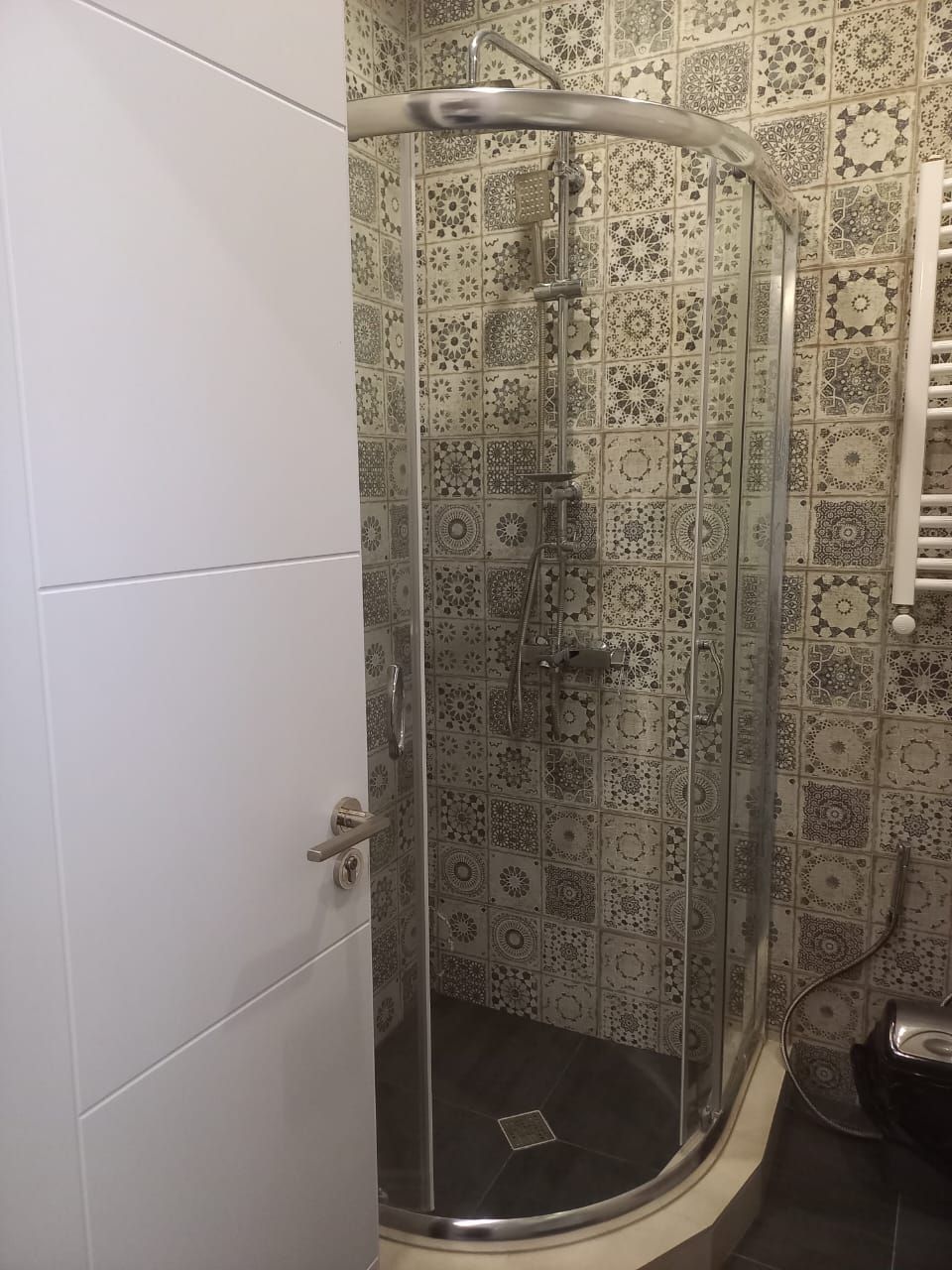 Ducha con puerta de vidrio, ducha de mano y pared con azulejos estampados.