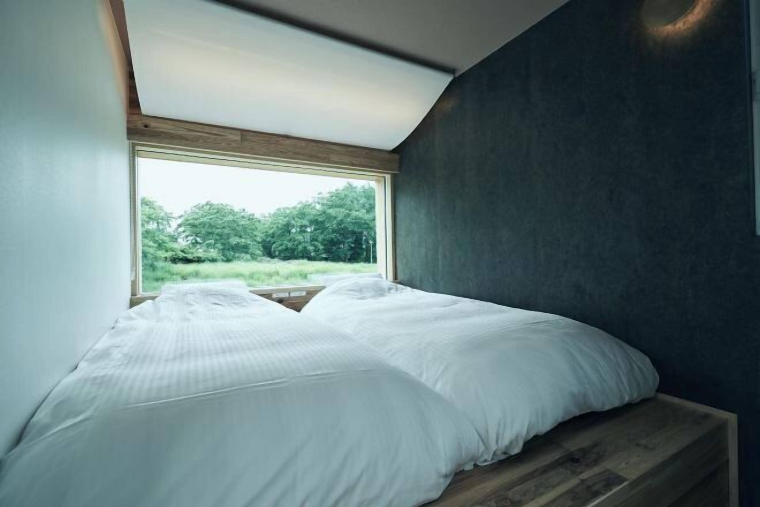 Down comforters, free WiFi