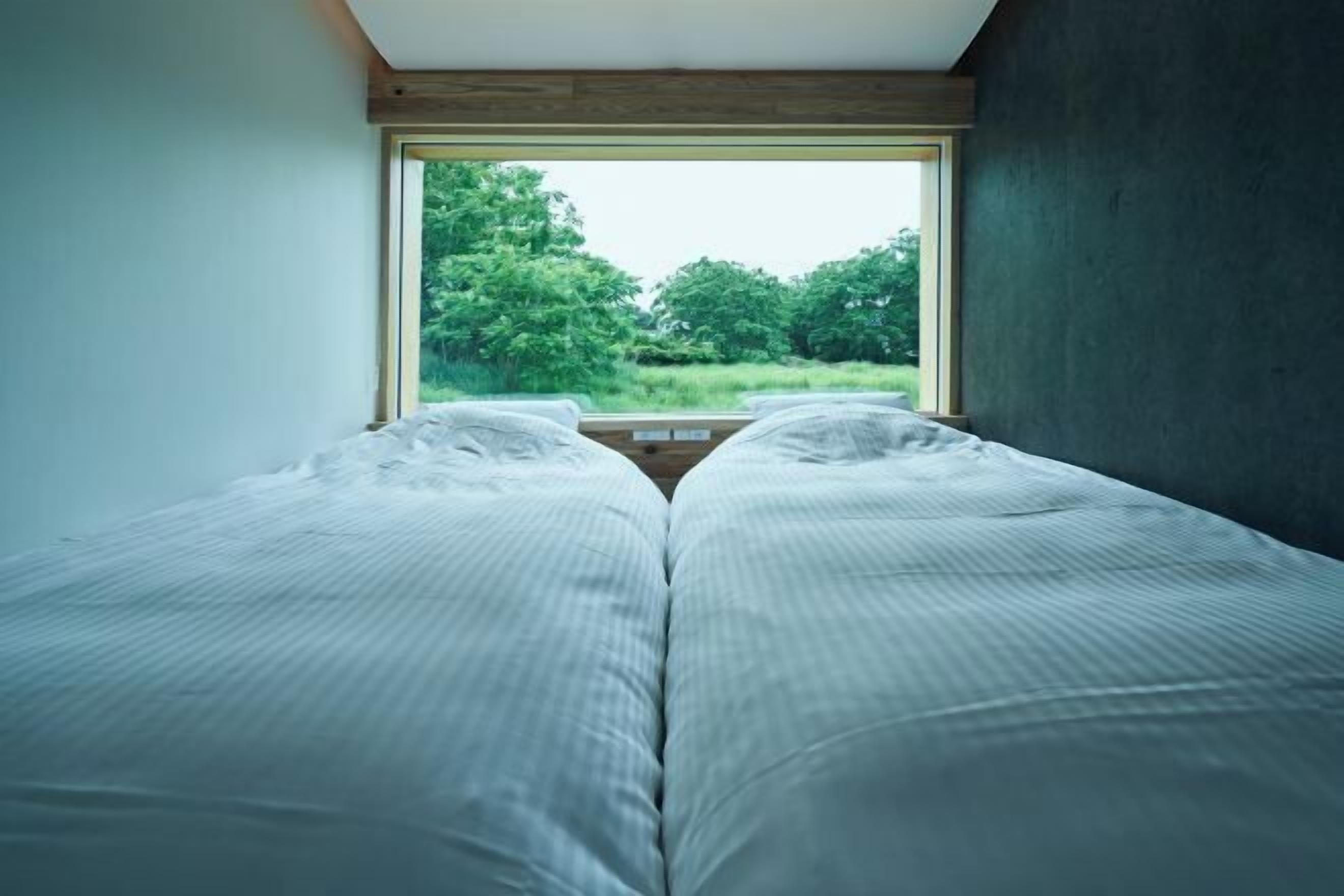 Edredons de pluma, Wi-Fi de cortesia