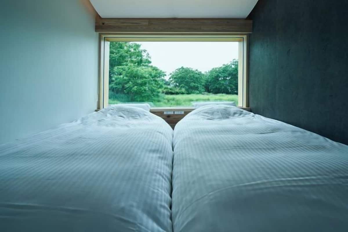 Edredons de pluma, Wi-Fi de cortesia