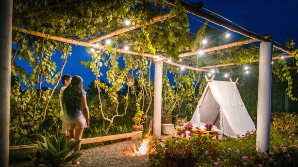 A garden with a fire pit, a white tent, and string lights. - Glamping Toneles y Viñedos (San Juan Bautista)