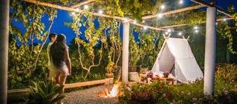 Glamping Toneles y Viñedos