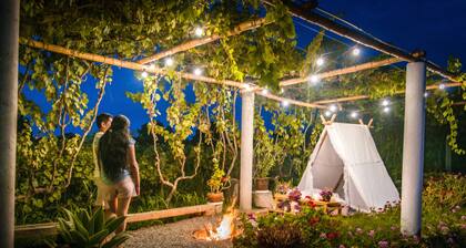 Glamping Toneles y Viñedos