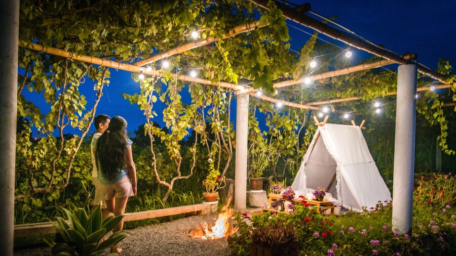 Glamping Toneles y Viñedos