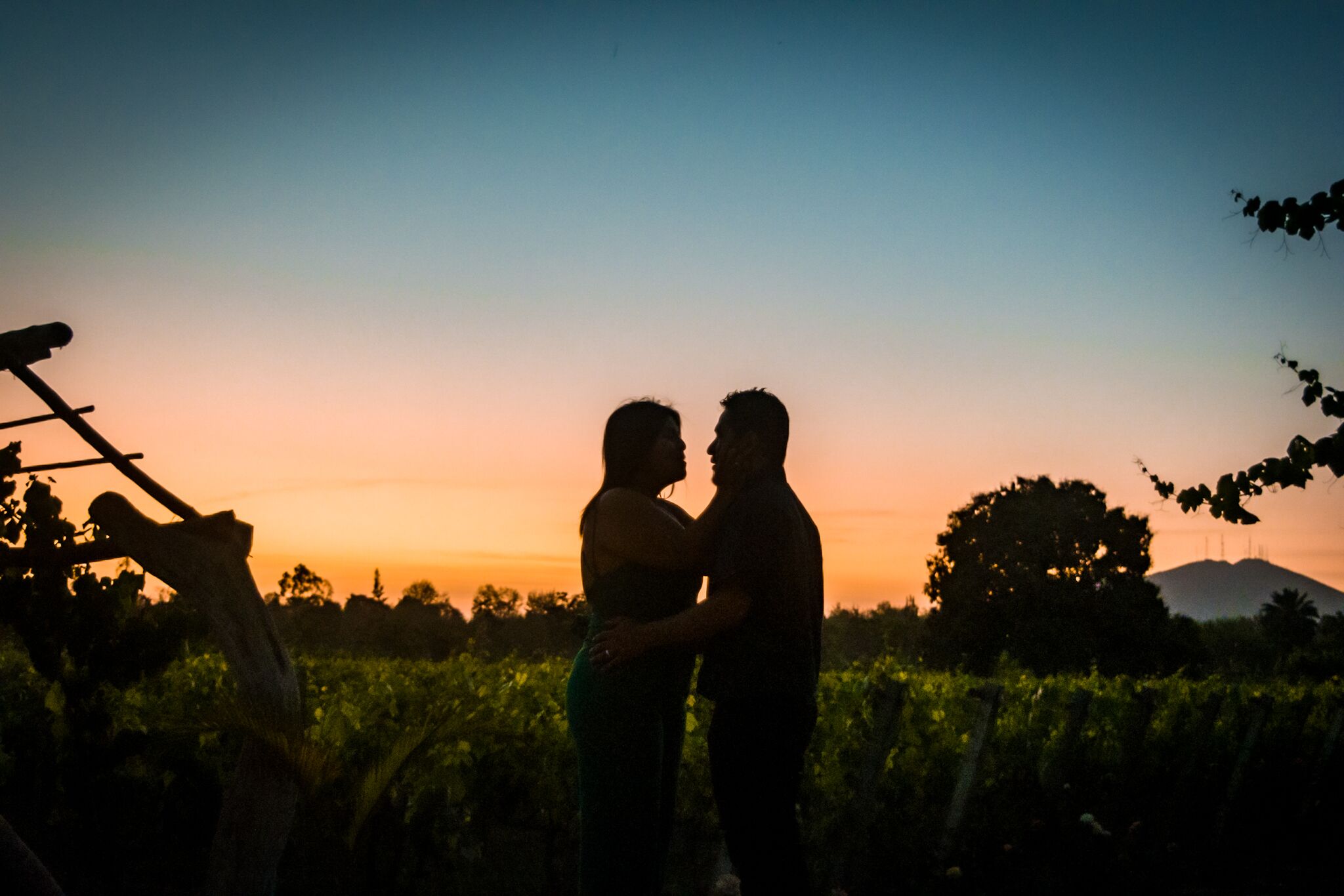 A couple embracing in a vineyard at sunset.