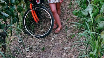 Una persona de pie en un viñedo con una bicicleta.