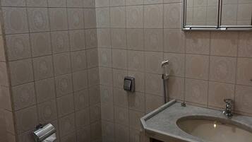 Suite | Bathroom | Shower, soap, toilet paper
