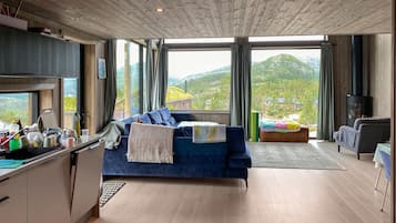 Smart-TV, Kamin