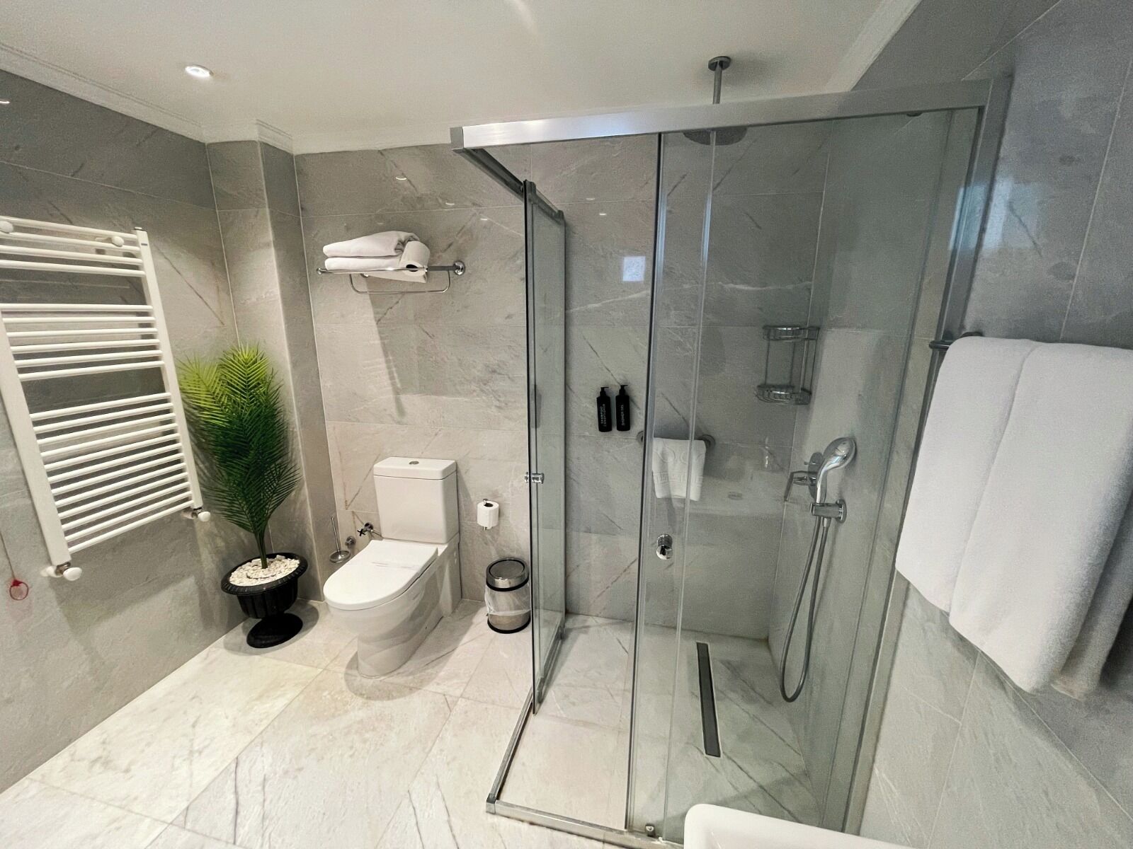 Habitación Royal | Baño | Ducha y cabezal de ducha con hidromasaje