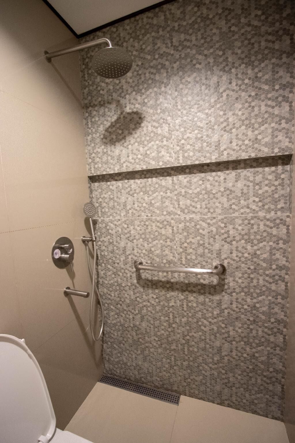 Een douche met een handdouche en een greep.