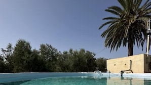 A clear pool with a white border, surrounded by trees and a palm tree. - Gîte FEKI (Agareb)