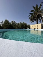 Una piscina cristalina con borde blanco, rodeada de árboles y una palmera.