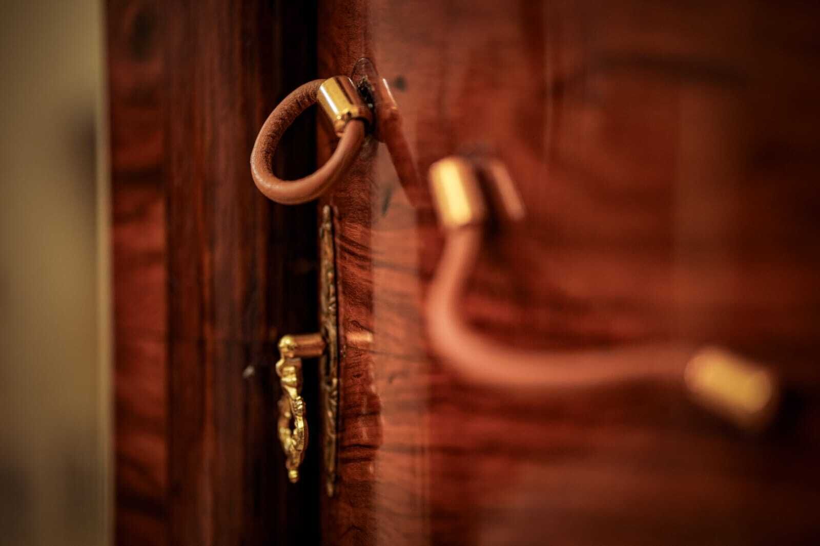 A close-up of a wooden door with a brass doorknob and a brass handle.