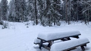 A snow-covered picnic table in a forest.