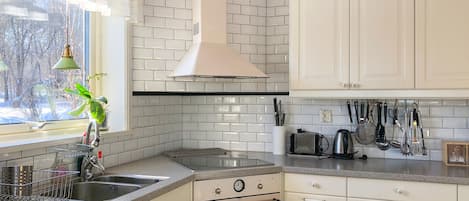 Fridge, oven, stovetop, dishwasher