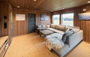 Smart-TV, Kamin