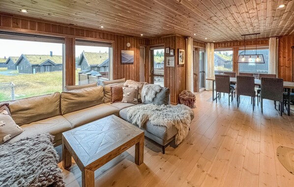 Smart-TV, Kamin