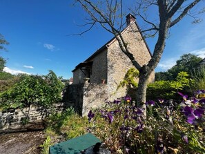 Unclassified image, 3 of 11, button