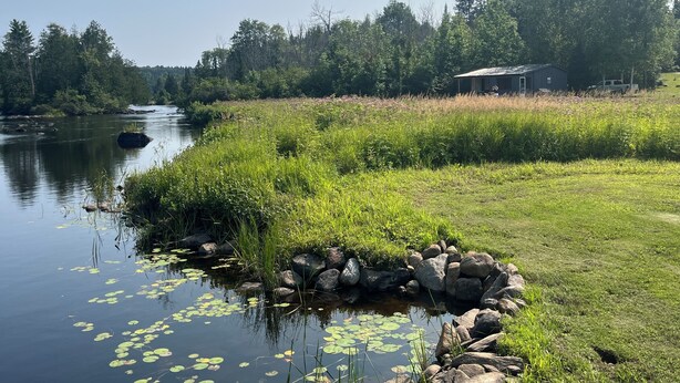 A calm river with rocks and lily pads, surrounded by lush greenery and a small building in the distance.