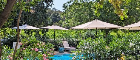 Seasonal outdoor pool, pool umbrellas, pool loungers