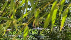 A pool surrounded by lush greenery and dense foliage. - La Galante  (Faugeres)