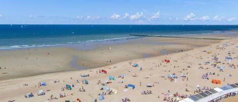 Una spiaggia nelle vicinanze, pesca