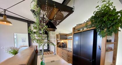 Mount Arthur View modern cottage with garden, fruit trees & cat!