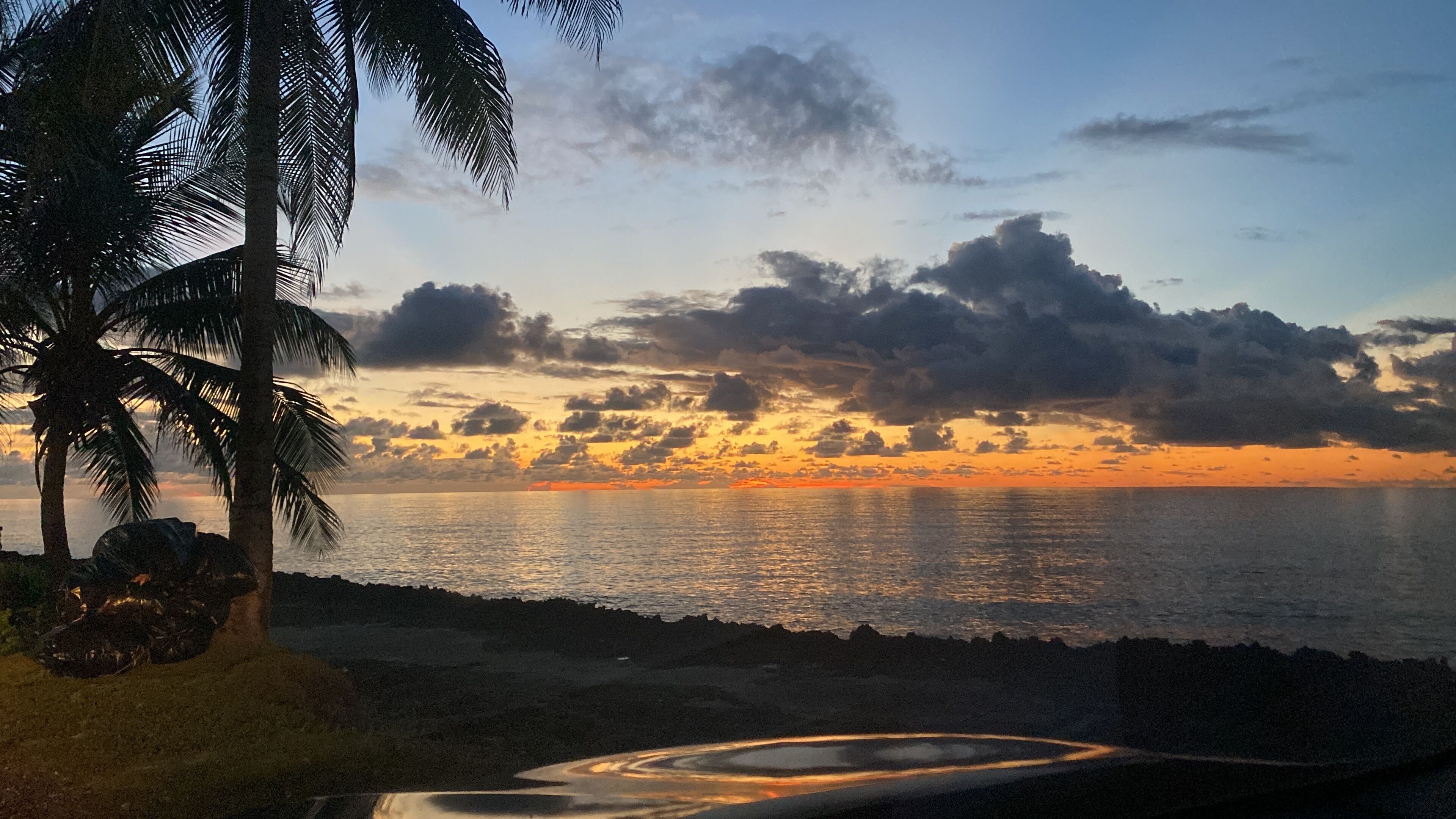A sunset view with palm trees and a calm sea.