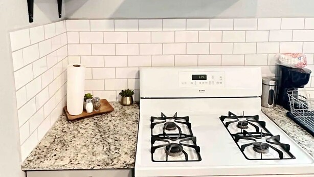 A kitchen with a white gas stove, a stainless steel range hood, a potted plant on a black shelf, and a roll of paper towels on the counter.